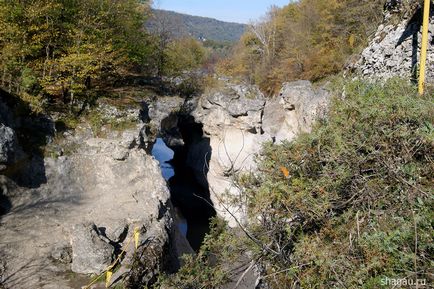 Descoperiți lumea minunată a lago-naki din Adygea