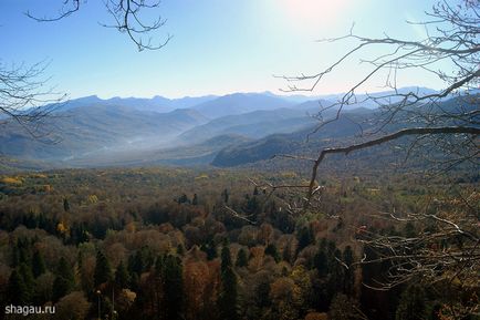 Descoperiți lumea minunată a lago-naki din Adygea