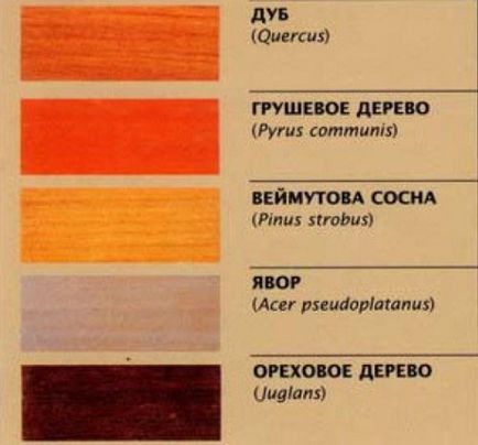 Породи дерев, які застосовуються для різьблення по дереву, орнаментум