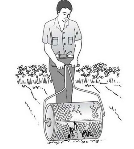 Plantarea unei peluze în primăvară cu semințe