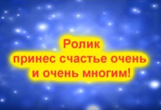 Подивіться, що витворяє цей собака, дізнавшись куди її везуть!