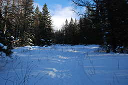 Trekking în Iremel