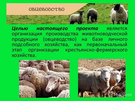 Презентація на тему розведення овець Маріїнсько-посадский філія федерального державного