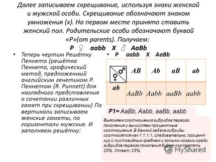 Prezentare pe tema seminarului de biologie - soluția problemelor genetice - profesor de biologie