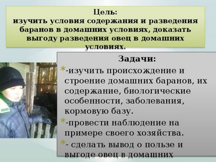 Презентація - розведення овець в домашніх умовах - біологія, презентації