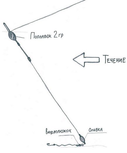 про белоглазка