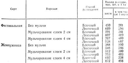 Producția de material de plantare căpșuni 1979