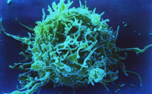 Cancer și sistemul imunitar, metode de tratament al bolilor