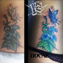 Restaurarea tatuajelor în Moscova