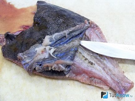 Recept hogyan kell tisztítani a lepényhal