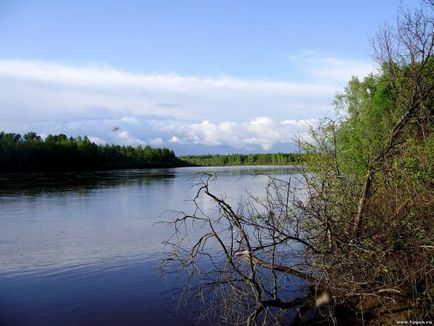 Риболовля на Чулимі на донки і закидушки! Річки Чулим, Кемчуг - літня рибалка - статті про риболовлю -