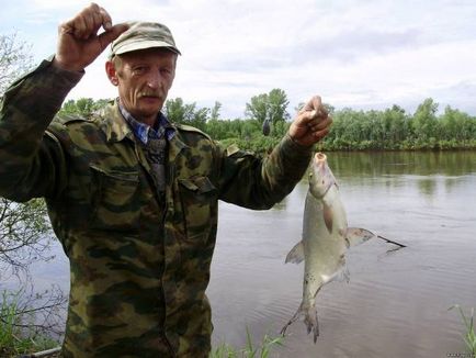 Pescuit într-o colibă ​​pe Donki și zakidushki! Râuri chulym, kamchug - pescuit de vară - articole despre pescuit -