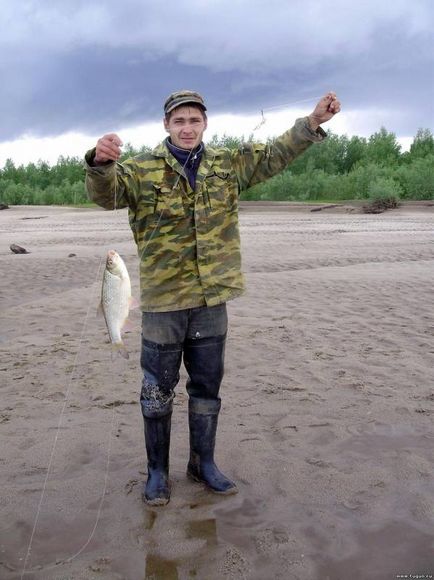 Pescuit într-o colibă ​​pe Donki și zakidushki! Râuri chulym, kamchug - pescuit de vară - articole despre pescuit -
