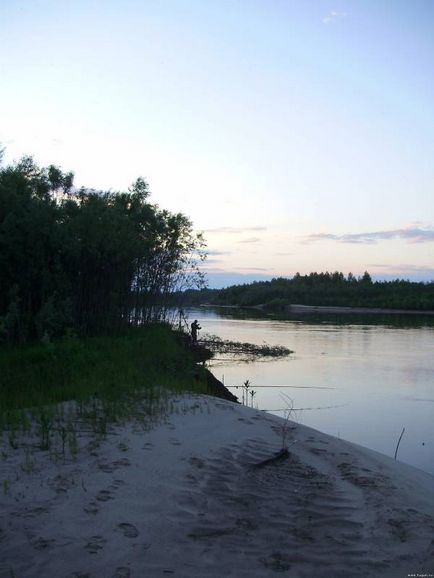 Horgászat a folyásánál Chulym a szamár és zakidushka! River Chulym, Kemchug - nyári halászat - Cikkek a halászat -