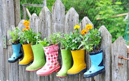 Grădinile și grădinile) idee amuzantă de creștere a castraveților