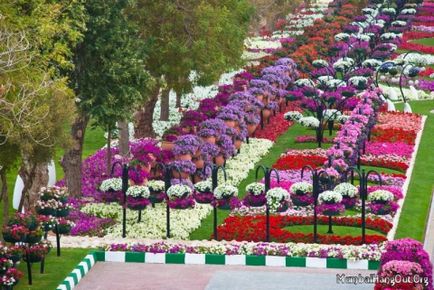 Cea mai mare grădină de flori din lume - Elena Nikolaevna Yadykina