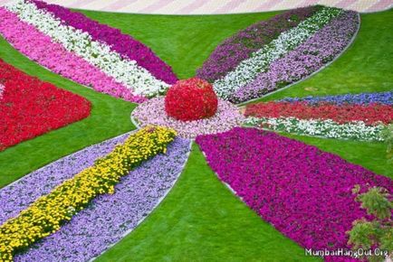 Найбільший в світі квітник - Олена Миколаївна Ядикін