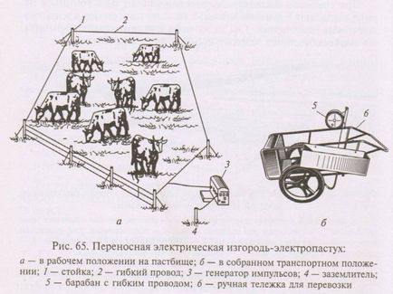 Системи утримання худоби та способи пасіння