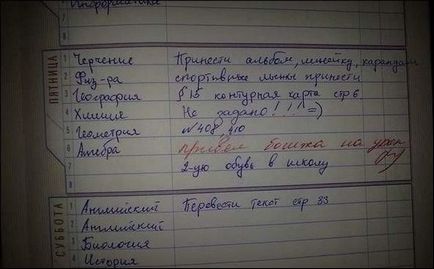 Смішні зауваження в шкільних щоденниках (32 фото) - Трініксі