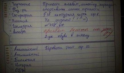 Смішні зауваження в шкільних щоденниках (32 фото) - Трініксі