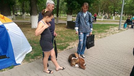 Kutya 80 kőzetek kiállított Simkent (fotó)