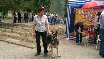 Собаки 80-ти порід представлені на виставці в Шимкенті (фото)