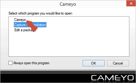 Creați programe portabile și cloud în cameyo