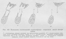 Îmbătrânire, stomatologie protetică