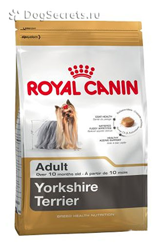 Alimente uscate pentru yorkshire, yorkshire terrier