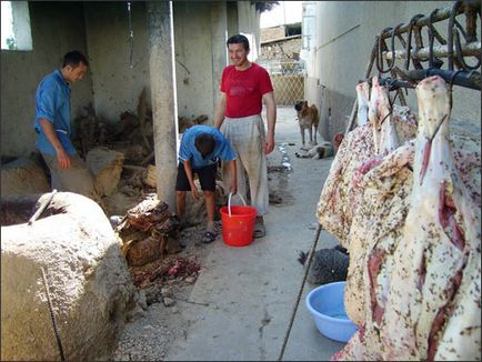 Tandyr-kabob - un vas de nomazi, războinici, călători și păstori