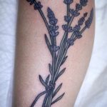 Татуювання лаванда - значення, фото і ескізи