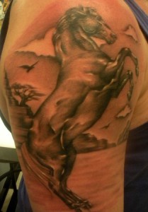 Tatuaj de cai (adică, schițe, fotografii), tattoofoturi