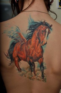 Tatuaj de cai (adică, schițe, fotografii), tattoofoturi