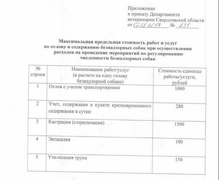 Licitația pentru prinderea câinilor fără stăpân în Nižni Tagil a fost câștigată de firma Artemovski, după ce a redus prețul inițial