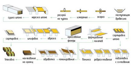 Tehnologia de producere a placajului din furnir de mesteacan