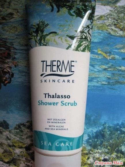 Therme thalasso szélén a tenger partján otthonában - az ország anyák (a tenger) Therme thalasso szélén a tenger partján otthonában - Home Moms