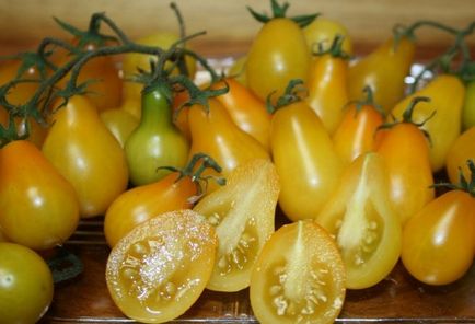 Tomato - descriere galbenă a soiului, caracteristicile fructului, recomandări pentru îngrijire