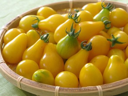 Томат - жовта груша опис сорту, характеристики плода, рекомендації по догляду