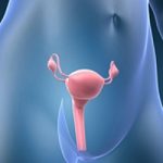 Uzi vezicii urinare în pregătirea femeilor, care arată cum să facă și metodele de cercetare