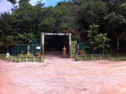 În satul indienilor din Brazilia (partea 1), Brazilia de azi