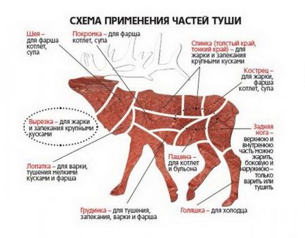 Вироблення шкіри лося