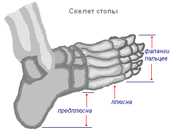 Вивих пальця на нозі, що робити після вивиху пальця