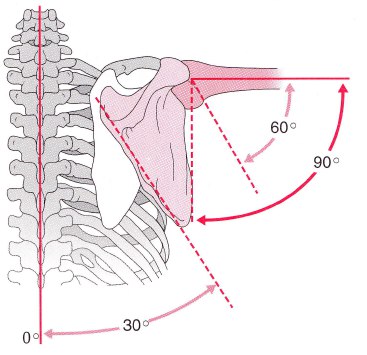 Helyreállítása kézmozdulatokkal stroke után, stroke, nem! Project remény hatalma (kézmozdulattal helyreállítási stroke után) Helyreállítása kézmozdulatokkal stroke után, stroke, nem! Project remény hatalma