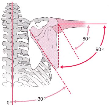 Restaurarea mișcărilor brațelor după un accident vascular cerebral, nu există nici un accident vascular cerebral! Proiectul este puterea speranței