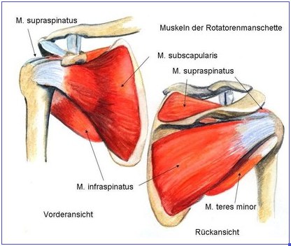 Restaurarea mișcărilor brațelor după un accident vascular cerebral, nu există nici un accident vascular cerebral! Proiectul este puterea speranței