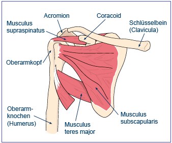 Restaurarea mișcărilor brațelor după un accident vascular cerebral, nu există nici un accident vascular cerebral! Proiectul este puterea speranței