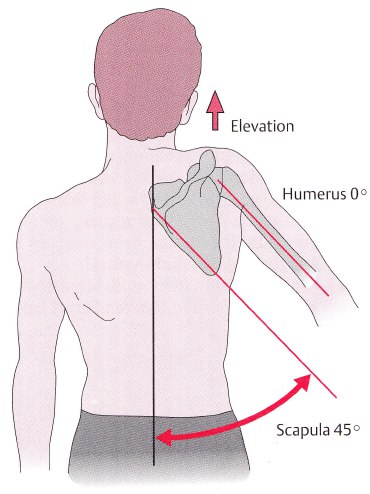 Restaurarea mișcărilor brațelor după un accident vascular cerebral, nu există nici un accident vascular cerebral! Proiectul este puterea speranței