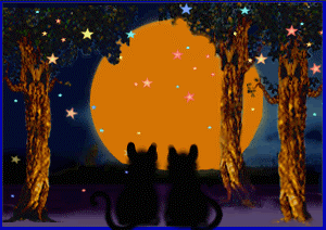 Хеллоуїн і чорні кішки
