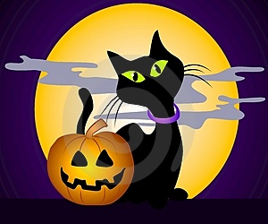 Halloween fekete macska (Halloween) Halloween és fekete macska