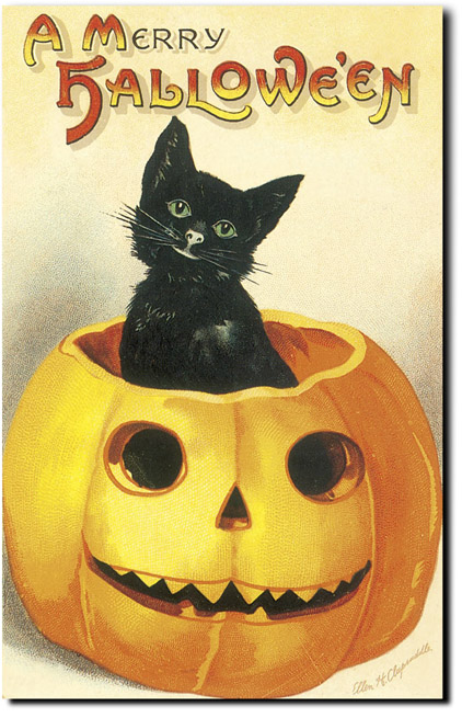 Halloween fekete macska (Halloween és fekete macskákat) Halloween és fekete macska